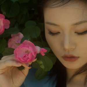 《伏笔晨曦》