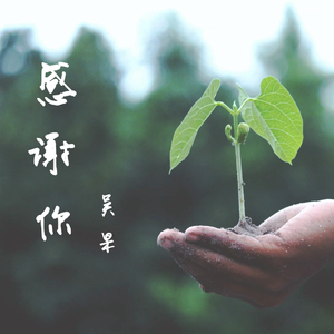 感谢你