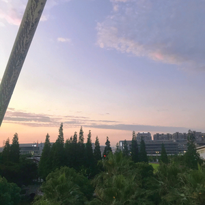 我想对你说的话