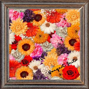 Bouquet Suite