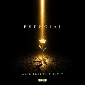 Especial (feat. Amil Floreh)
