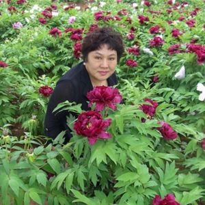 大美的草原大美的歌