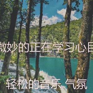 抚慰的浓度回忆
