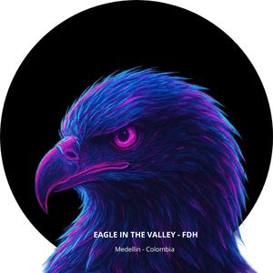 EAGLE IN THE VALLEY