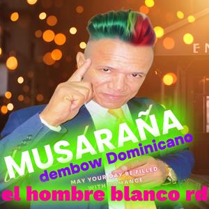 Musaraña