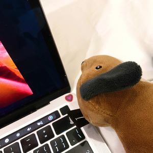腊肠狗
