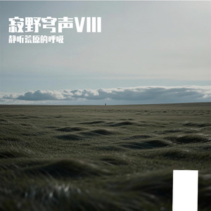 黑缎子坎肩