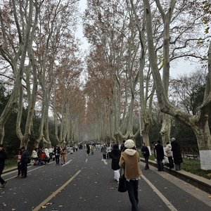《追光》
