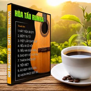 Sao Em Nỡ Vô Tình - Hòa Tấu Rumba