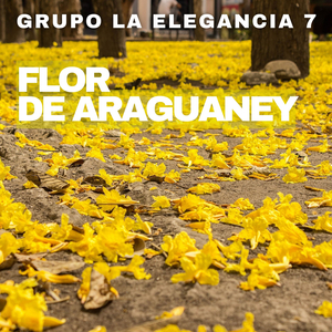 Flor De Araguaney