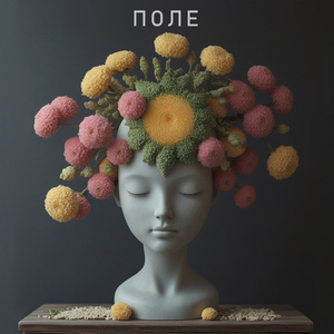 Поле (feat. Лейсан Халимова)