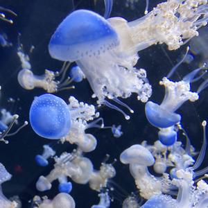 不知不觉（prod by royalboi）