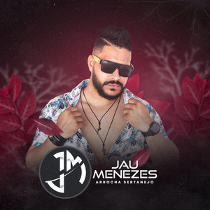 Estágio Frágil (Cover)