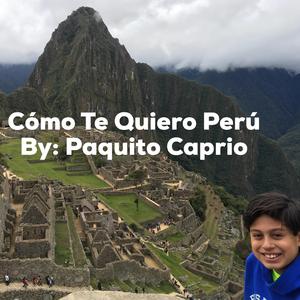 Contigo Perú