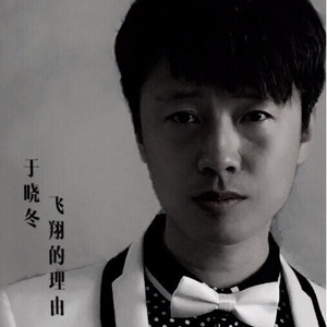 飞翔的理由
