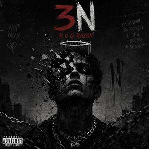 3N