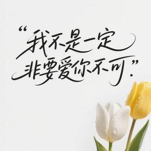 我不是一定非要爱你不可