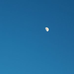 流亡印象（Cover Yolo乐队）