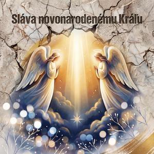 Sláva novonarodenému Kráľu