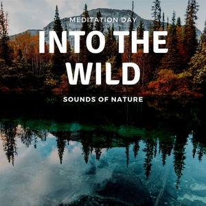 A Sky Full of Stars, Waves Sound