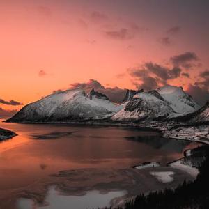 烟雨墨冷竹离殇
