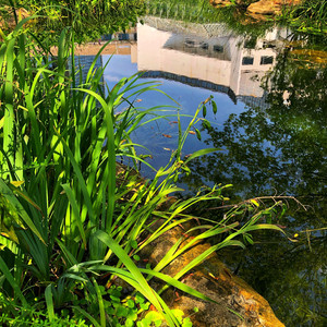 此情一直在心间