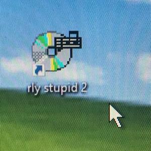 rly stupid 2