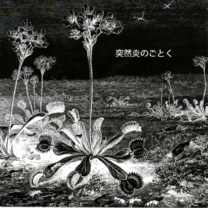 After the Storm (Alternate Version)