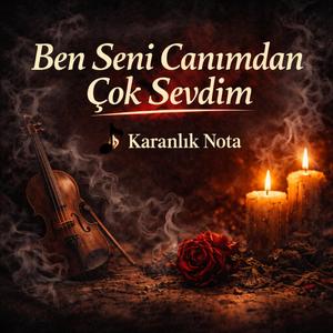 Ben Seni Canımdan Çok Sevdim