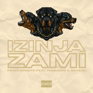 IZINJA ZAMI. (feat. THABZERO. & BEASTO.)