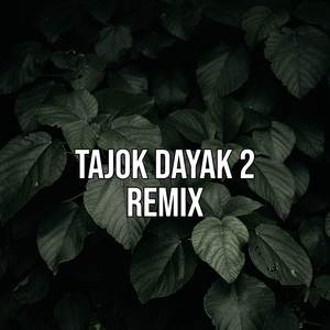 Tajok Dayak 2 (Remix)