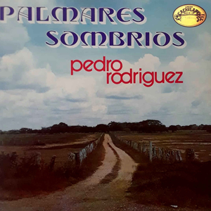 Rosa blanca del camino