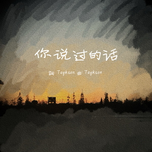 你说过的话