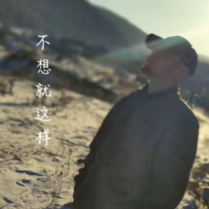 不想就这样