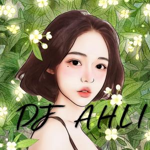 Bassjackers-阿狸开场（阿狸 remix）