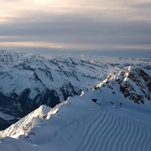 兴奋的大母猴__