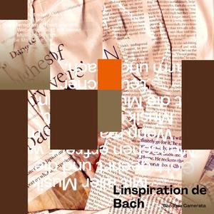 D小调双小提琴协奏曲，作品一〇四三 第二乐章：不太慢的慢板