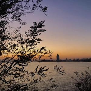 Make You Feel My Love