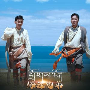 独唱版缘注兄弟