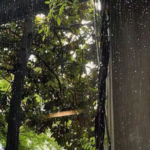 爱是宜居的岛屿