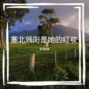 塞北残阳是她的红妆