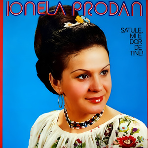 Am Iubit Ce Mi-a Plăcut