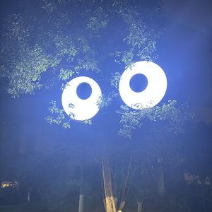 “终究是我来太迟 梨树难生桃花支”