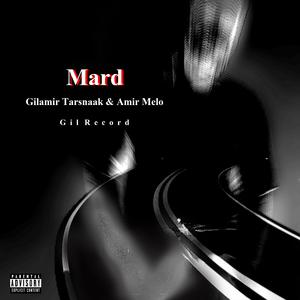 Mard (Instrumental)