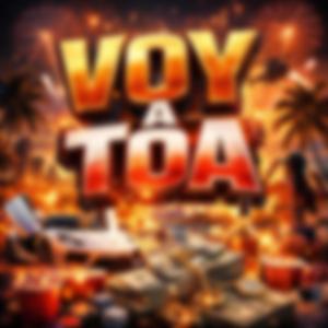 VOY A TOA