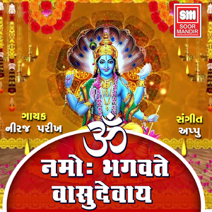 Om Namo Bhagwate Vasudevay