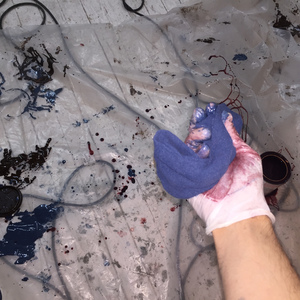 Love Just Socketed (Eppielr,Elisek)