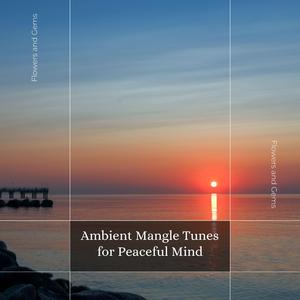 Dream Night Meditation