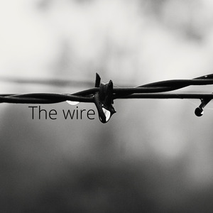 The Wire