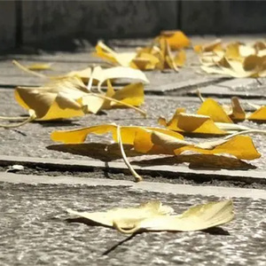 喝一杯岁月的酒 (烟嗓版)